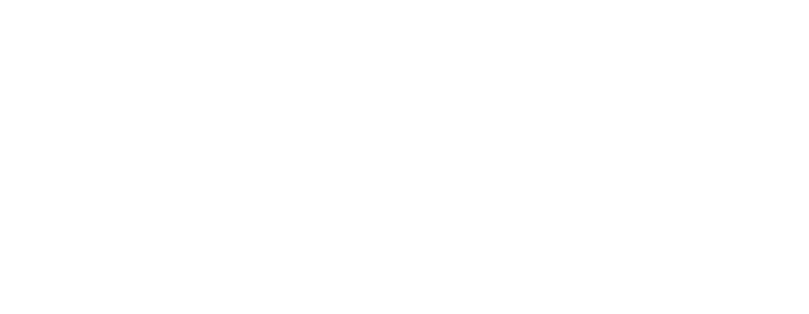 BizFranchise